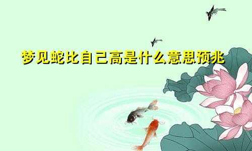梦见蛇比自己高是什么意思预兆