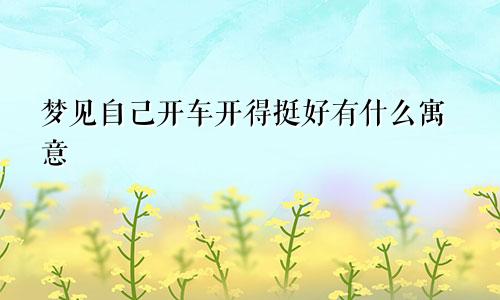 梦见自己开车开得挺好有什么寓意