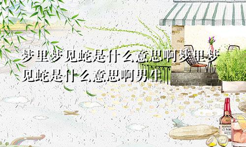 梦里梦见蛇是什么意思啊梦里梦见蛇是什么意思啊男生