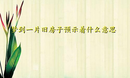 梦到一片旧房子预示着什么意思