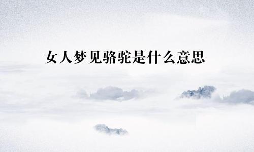 女人梦见骆驼是什么意思