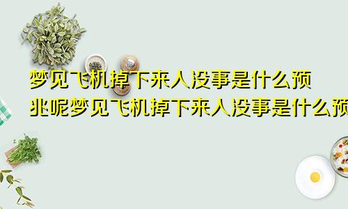 梦见飞机掉下来人没事是什么预兆呢梦见飞机掉下来人没事是什么预兆解梦