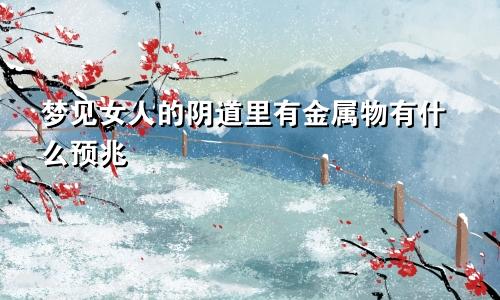 梦见女人的阴道里有金属物有什么预兆