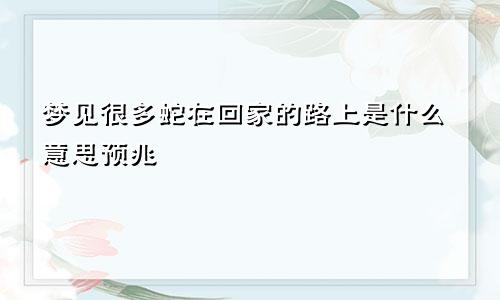 梦见很多蛇在回家的路上是什么意思预兆