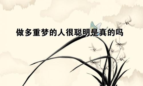 做多重梦的人很聪明是真的吗