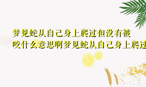 梦见蛇从自己身上爬过但没有被咬什么意思啊梦见蛇从自己身上爬过但没有被咬什么意思呀