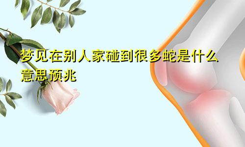 梦见在别人家碰到很多蛇是什么意思预兆