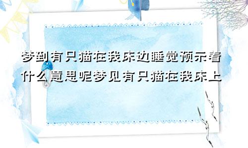 梦到有只猫在我床边睡觉预示着什么意思呢梦见有只猫在我床上