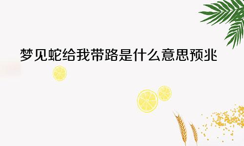 梦见蛇给我带路是什么意思预兆
