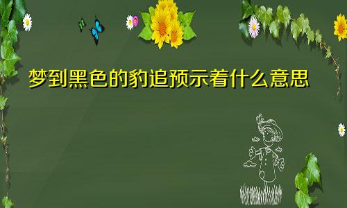 梦到黑色的豹追预示着什么意思