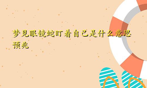 梦见眼镜蛇盯着自己是什么意思预兆