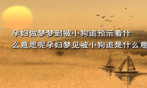 孕妇做梦梦到被小狗追预示着什么意思呢孕妇梦见被小狗追是什么意思