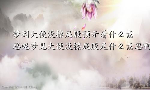 梦到大便没擦屁股预示着什么意思呢梦见大便没擦屁股是什么意思啊