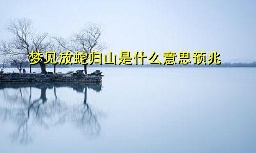 梦见放蛇归山是什么意思预兆