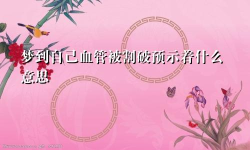 梦到自己血管被割破预示着什么意思