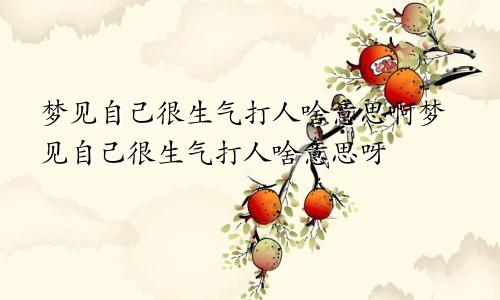 梦见自己很生气打人啥意思啊梦见自己很生气打人啥意思呀