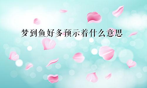 梦到鱼好多预示着什么意思
