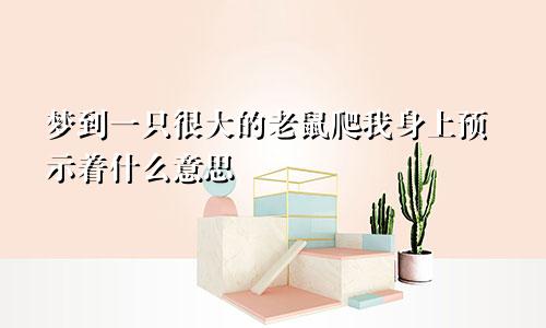 梦到一只很大的老鼠爬我身上预示着什么意思