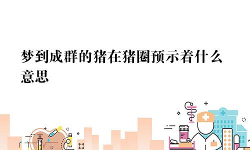 梦到成群的猪在猪圈预示着什么意思