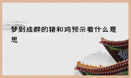 梦到成群的猪和鸡预示着什么意思