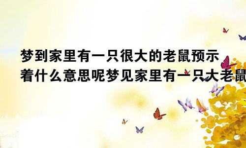 梦到家里有一只很大的老鼠预示着什么意思呢梦见家里有一只大老鼠是什么意思