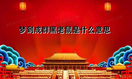 梦到成群黑老鼠是什么意思