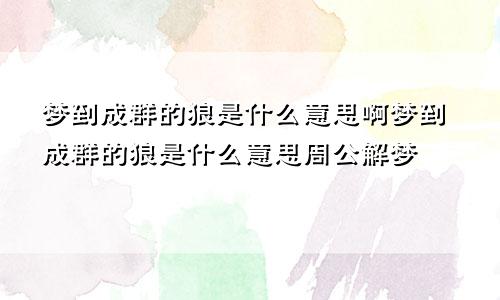 梦到成群的狼是什么意思啊梦到成群的狼是什么意思周公解梦