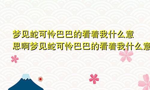 梦见蛇可怜巴巴的看着我什么意思啊梦见蛇可怜巴巴的看着我什么意思呀
