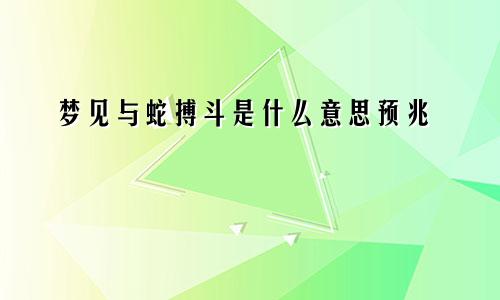 梦见与蛇搏斗是什么意思预兆