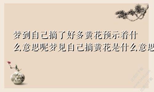 梦到自己摘了好多黄花预示着什么意思呢梦见自己摘黄花是什么意思