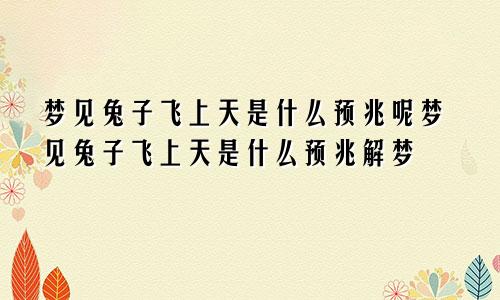 梦见兔子飞上天是什么预兆呢梦见兔子飞上天是什么预兆解梦