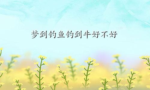 梦到钓鱼钓到牛好不好