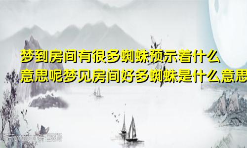 梦到房间有很多蜘蛛预示着什么意思呢梦见房间好多蜘蛛是什么意思