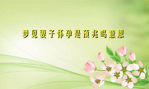 梦见妻子怀孕是预兆吗意思