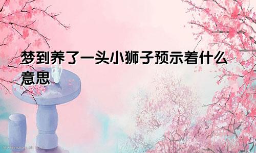 梦到养了一头小狮子预示着什么意思