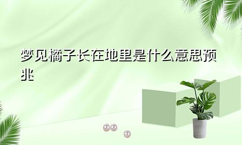 梦见橘子长在地里是什么意思预兆