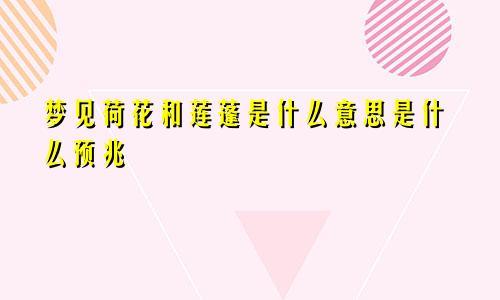 梦见荷花和莲蓬是什么意思是什么预兆