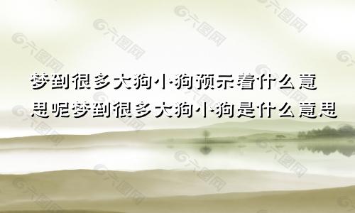 梦到很多大狗小狗预示着什么意思呢梦到很多大狗小狗是什么意思