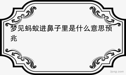 梦见蚂蚁进鼻子里是什么意思预兆