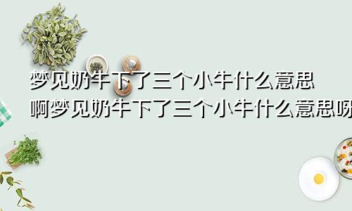 梦见奶牛下了三个小牛什么意思啊梦见奶牛下了三个小牛什么意思呀