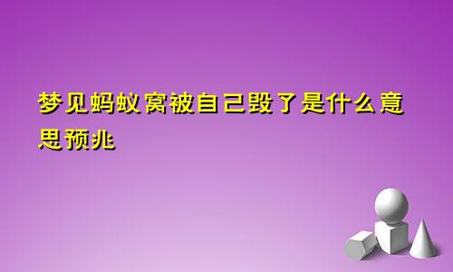 梦见蚂蚁窝被自己毁了是什么意思预兆