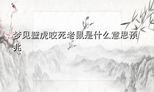 梦见壁虎咬死老鼠是什么意思预兆