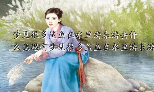 梦见很多鲨鱼在水里游来游去什么意思啊梦见很多鲨鱼在水里游来游去什么意思呀