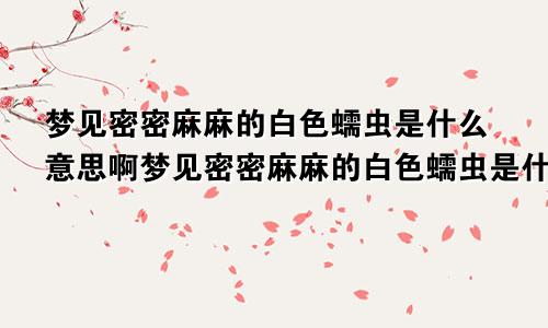 梦见密密麻麻的白色蠕虫是什么意思啊梦见密密麻麻的白色蠕虫是什么意思呀