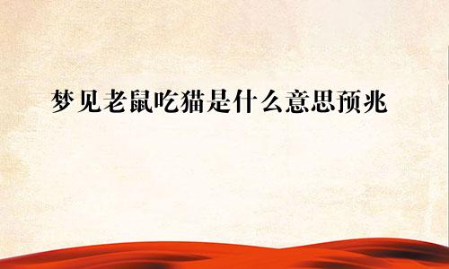 梦见老鼠吃猫是什么意思预兆