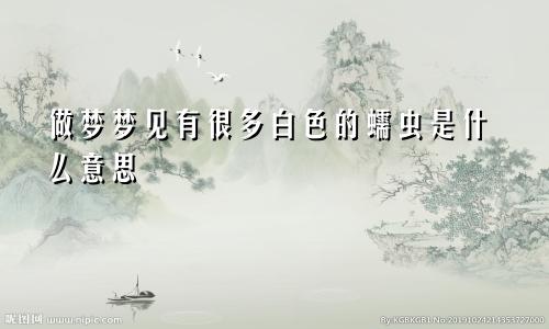 做梦梦见有很多白色的蠕虫是什么意思
