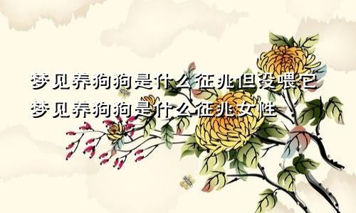 梦见养狗狗是什么征兆但没喂它梦见养狗狗是什么征兆女性