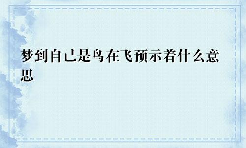 梦到自己是鸟在飞预示着什么意思