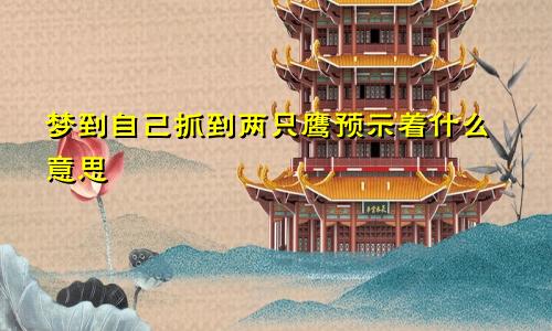 梦到自己抓到两只鹰预示着什么意思