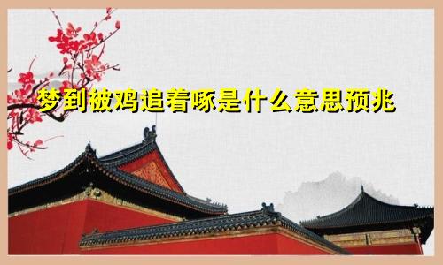 梦到被鸡追着啄是什么意思预兆